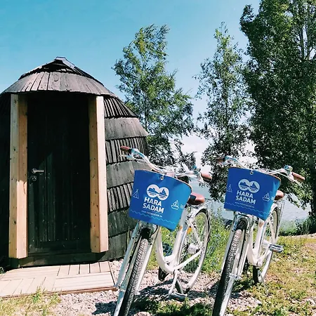 Sadama Iglukaemping Campingplatz *