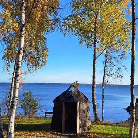 Sadama Iglukaemping * Hara