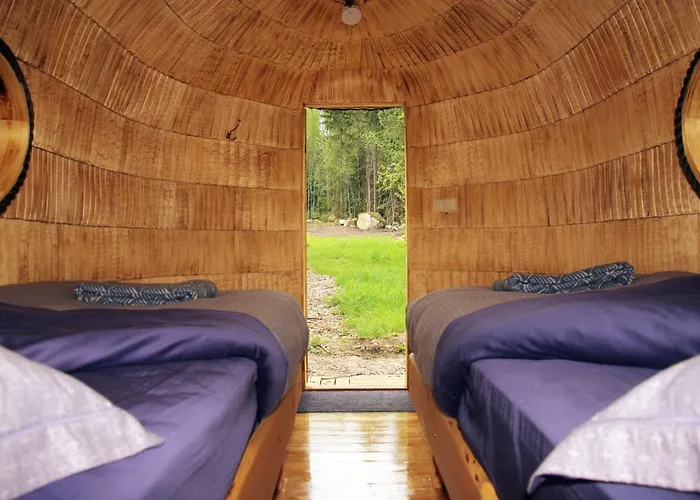 Sadama Iglukaemping * Hara