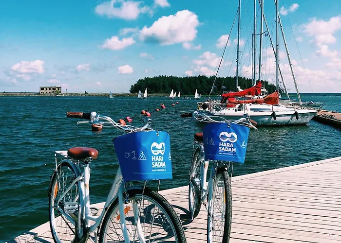 Sadama Iglukaemping * Hara