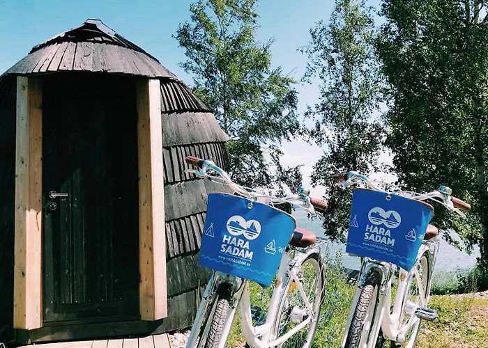 Sadama Iglukaemping Kemping *